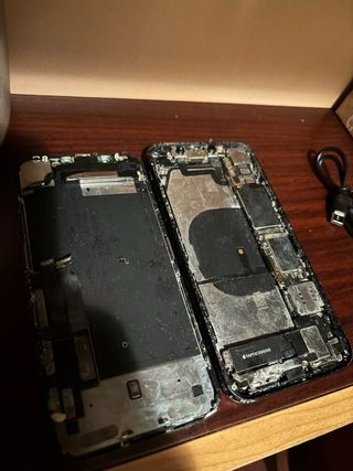 iPhone 8 Plus e iPhone XR Neri