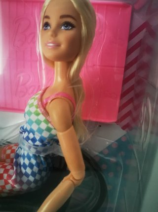 Barbie in sedia a rotelle
