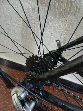 Ocasión manitas! Bici carbono Campagnolo