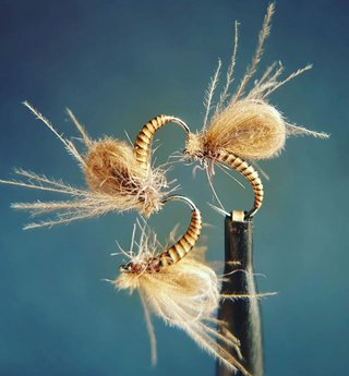 MOSCAS PARA LA PESCA DE TRUCHAS