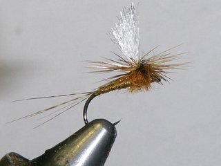 MOSCAS PARA LA PESCA DE TRUCHAS