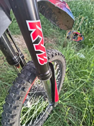 SWM RS 300 2025