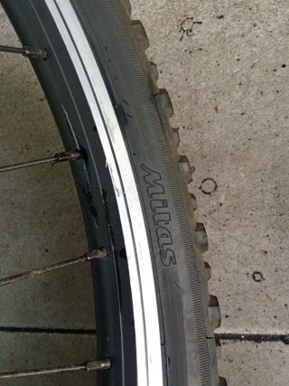 Rueda delantera bicicleta 24 CST