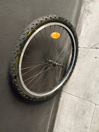 Rueda delantera bicicleta 24 CST
