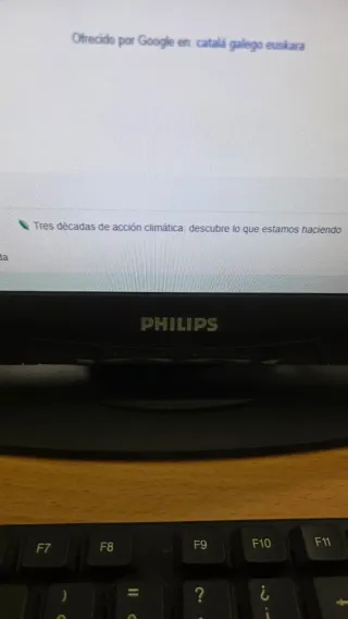 Pantalla Philips 17"