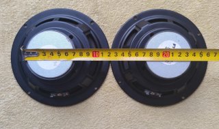 2x Woofer JBL 100W