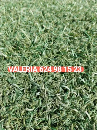 Venta césped artificial