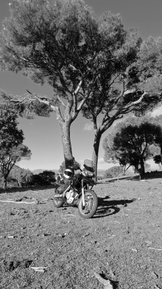 BMW F 650 GS