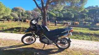 BMW F 650 GS