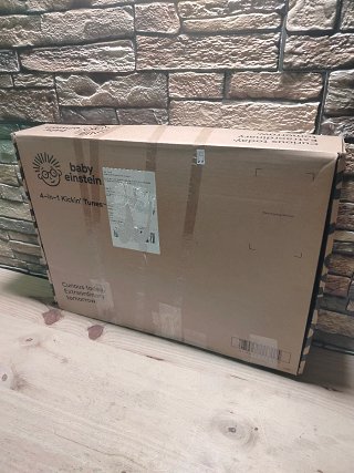 Baby Einstein Gimansio de Actividades Musical