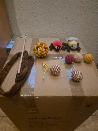 Cueva para gatos/perros + juguetes