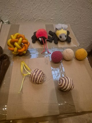 Cueva para gatos/perros + juguetes