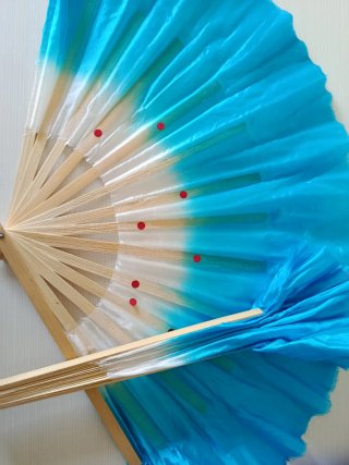 Disfraz Hanfu Niña Chino Danza. Talla 10-12 años.