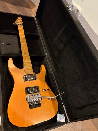 Guitarra Eléctrica ESP LTD M-1000SE