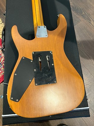 Guitarra Eléctrica ESP LTD M-1000SE