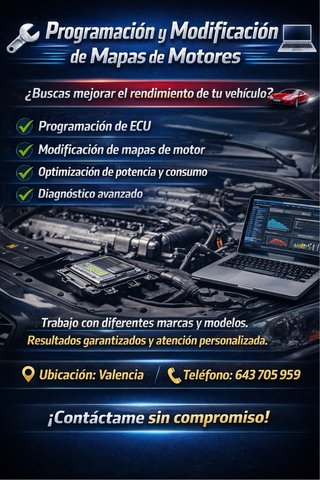 Servicio electrónicas y re programación
