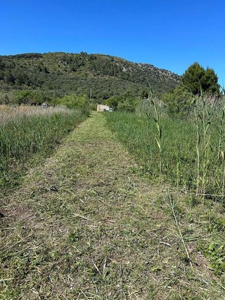Terreno en venta en Pobla (Sa)