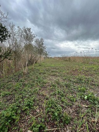 Terreno en venta en Pobla (Sa)