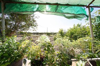 Local comercial en venta en Zona Centro-Corredera en Lorca