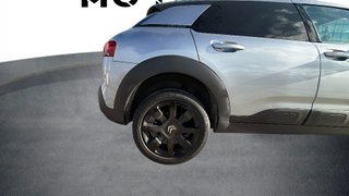 Citroen C4 Cactus PureTech 110 S&S Origins EAT6 81 kW (110 CV)