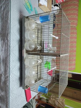 Jaula para pájaros 60 cm