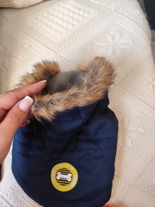 Abbigliamento per cani con design orso