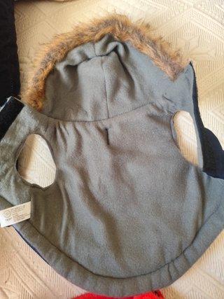 Abbigliamento per cani con design orso