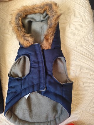 Abbigliamento per cani con design orso