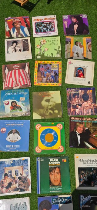 Lote Vinilos Clásicos y Pop