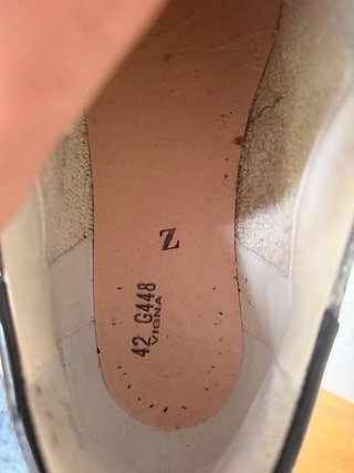 Golden Goose Lunar Edition Sneakers Plata