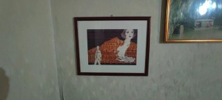 Quadri vari + cornice 15 a pezzo