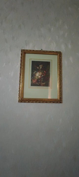Cornici con quadri 10 euro a pezzo.