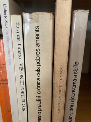 Lot de 14 llibres de literatura italiana en català