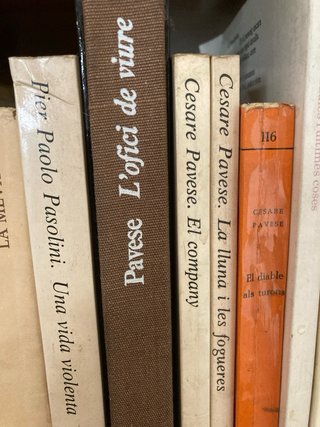 Lot de 14 llibres de literatura italiana en català