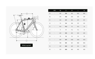 BICI LETA DE GRAVEL RIDLEY KANZO FAST