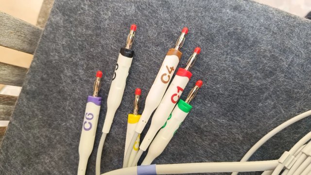 Cavo ECG/EKG Schiller 10 derivazioni