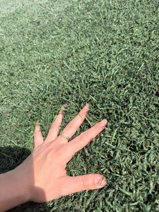 Césped artificial