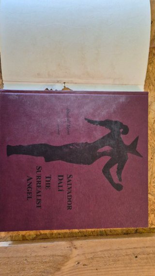 Libro Salvador Dalí: El Ángel Surrealista
