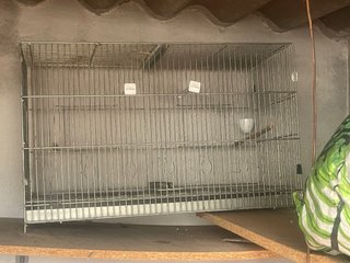 Jaulas para pájaros