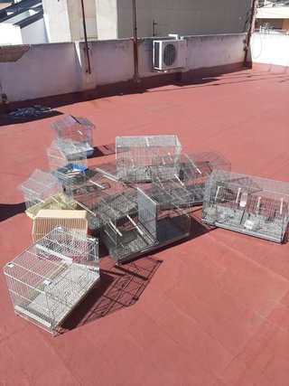 Jaulas para pájaros