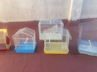 Jaulas para pájaros