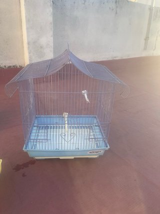 Jaulas para pájaros
