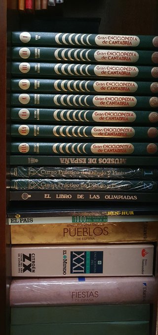 Se venden distintos libros