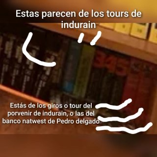 El comportamiento humano en la organización