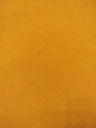 Sudadera Champion Niña Talla 13-14 Años