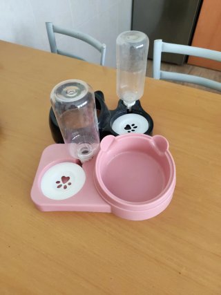Comedero y bebedero para gatos
