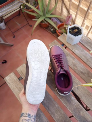 Zapatillas Lacoste Mujer Talla 40 Nuevas