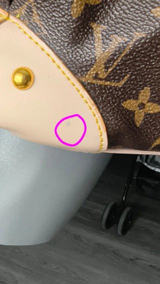 Bolso Louis Vuitton Beige y Marrón