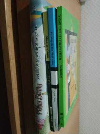 Lote de libros