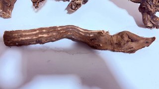 Raíces para acuario de vid